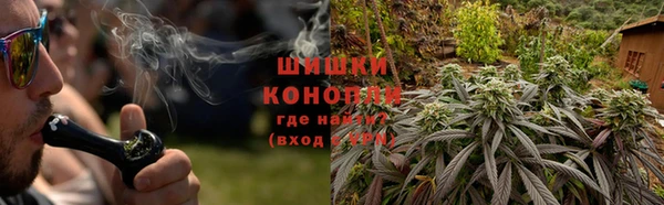 дживик Бородино