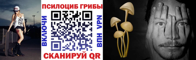 Галлюциногенные грибы Psilocybine cubensis  Купить закладки  Котельнич 